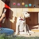 thumbnail image 5 of Paw Prints Animal Stickers 1000pcs 1' Labels, 2 Rolls, Dog Paw Prints for Kids, Parties, Vets, Kenn, 5 of 5