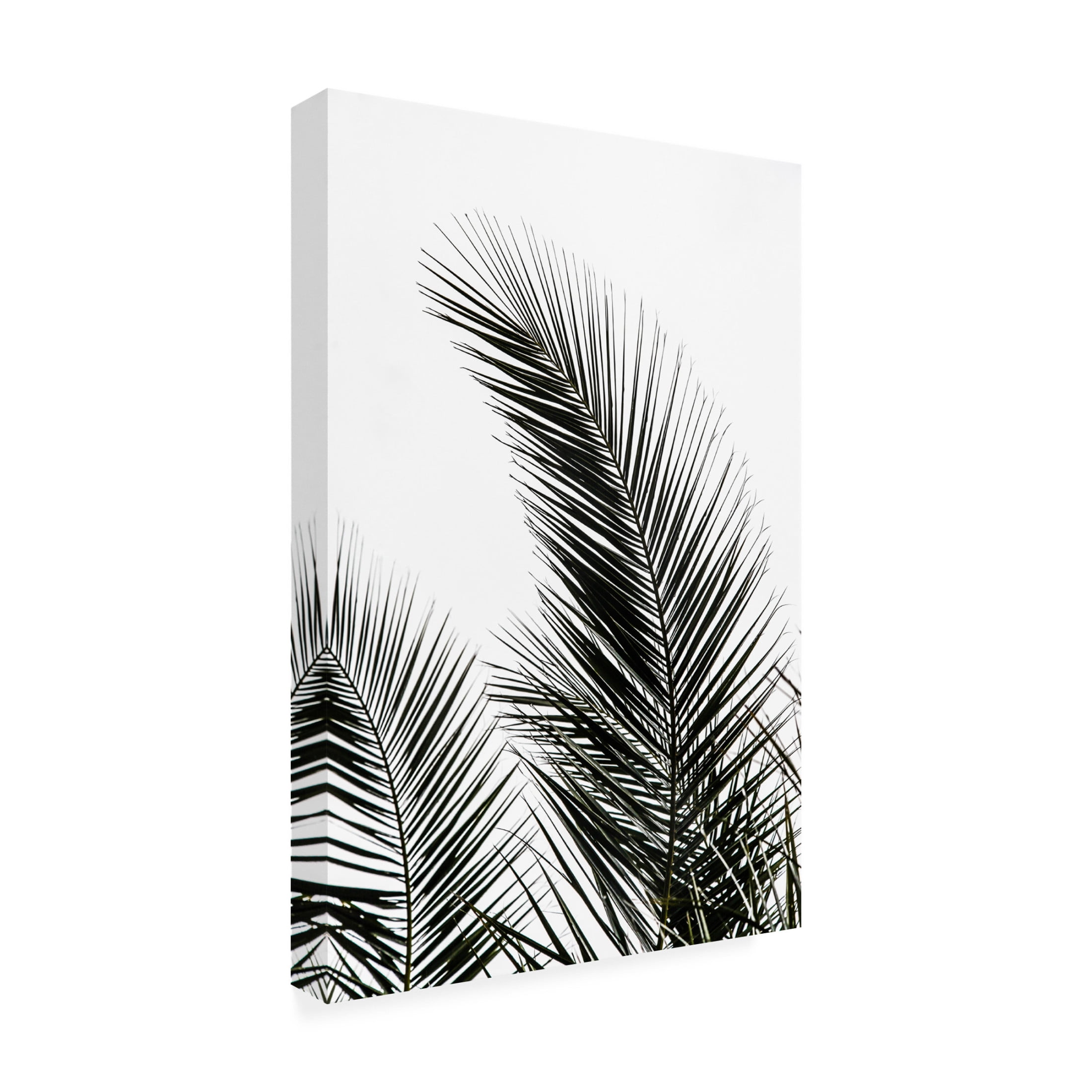 Trademark Fine Art Mareike Bohmer  Palm Leaves 1 Canvas Wall Art