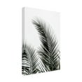 thumbnail image 4 of Trademark Fine Art Mareike Bohmer  Palm Leaves 1 Canvas Wall Art, 4 of 4