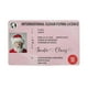 thumbnail image 1 of Claus Licencia De Conducir Voladora Tarjeta De Plástico Licencia De Trineo De Plástico Decoraciones Para Árboles De Navidad Yuarrent HA042012-03, 1 of 6