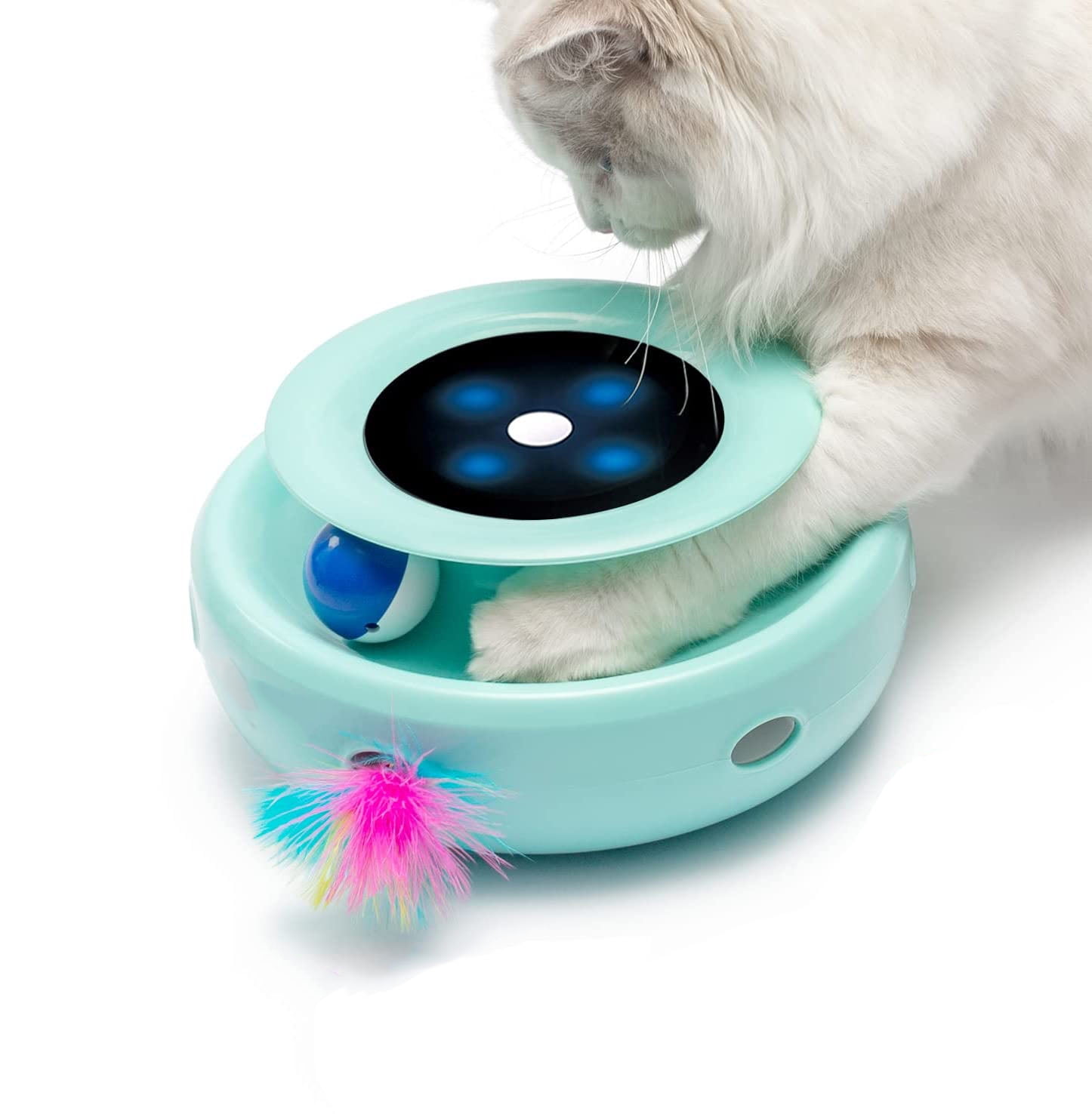 Cat clearance entertainment toys