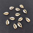 thumbnail image 3 of Charm INSPIRELLE 12 unidades de conchas marinas naturales doradas de 1,8 a 2,2 cm, 3 of 7