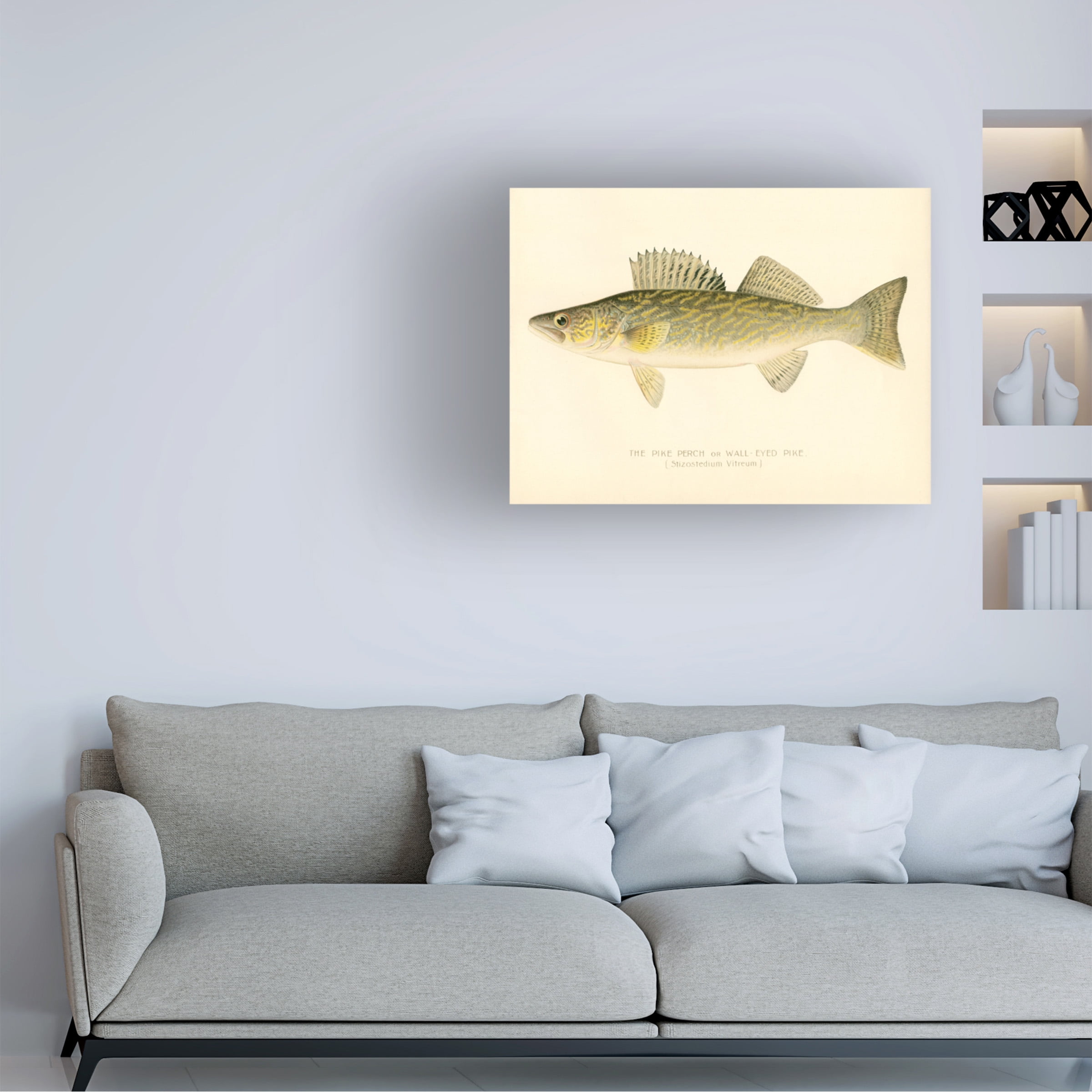 Print Collection 'Pike Perch' Canvas Art