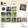 thumbnail image 2 of Siberian Huskies 2025 12 X 24 Inch Monthly Square Wall Calendar Plastic-Free (Wall), 2 of 9