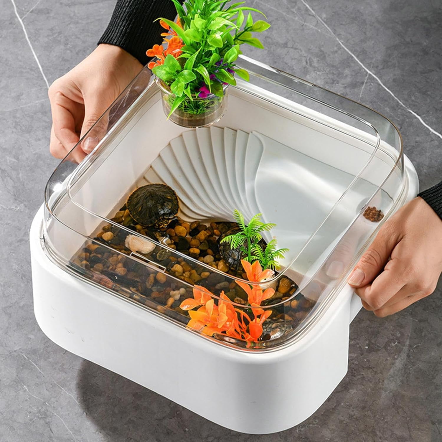 Tortoise Tank Set with Lighting, Artificial Plants, Stones, Raised Curved Design for Indoor