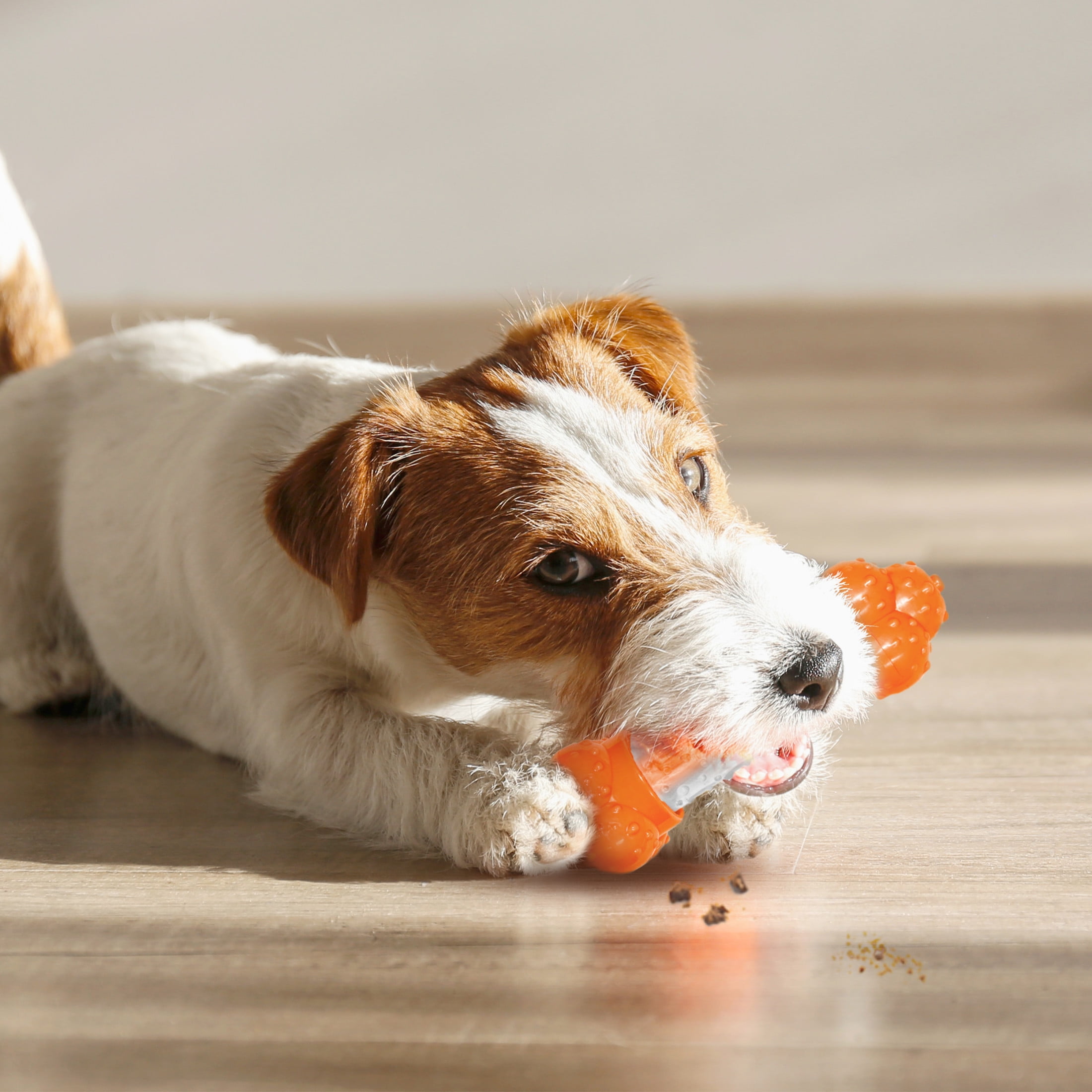 Nylabone Sneaky Snacker Dog Treat Toy Bacon Orange Medium (1 Count)