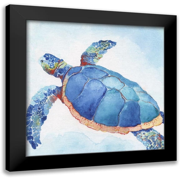 Tava Studios 12x12 Black Modern Framed Museum Art Print Titled - Galapagos Sea Turtle II