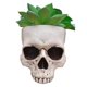 thumbnail image 2 of Outdoor Garden Halloween Skull Decorations: Gothic Style Succulent Flower Pot for Home Decor, 2 of 5