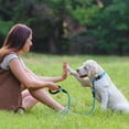 thumbnail image 6 of Taglory Rope Dog Leash with Comfortable Padded Handle, 4ft Reflective Dog Leash, Skyblue, 6 of 7