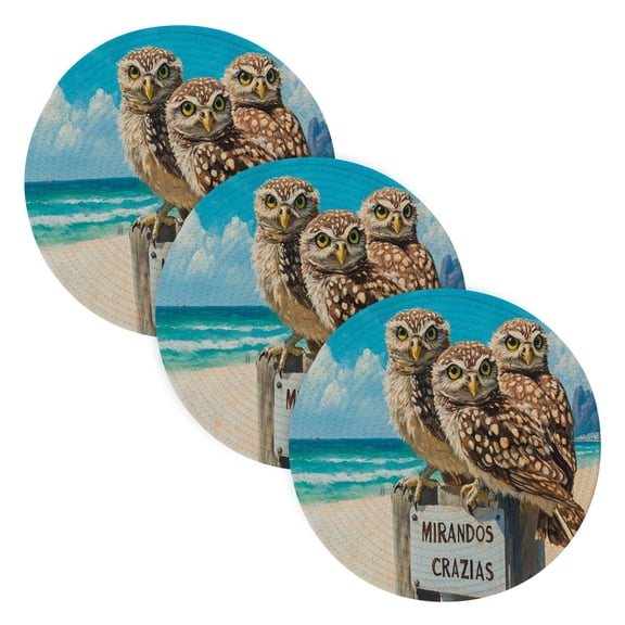 BZSMCE Mats for Pots,Pans Place Owls Stand Signboard by The Sea Simple Style Pattern Pot Mats