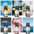 thumbnail image 5 of Customizable Water-Soluble Air Freshener Kit for Home & Car  Refillable Long-Lasting Room Fragrance  Essential Oil Diffuser Alternative, 5 of 7