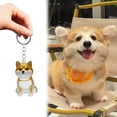 thumbnail image 5 of 1/2/3/4/6/10PCSCreative Dog Hair Collector Keychains Charm,Cute Storage Box for Pet Hairs,Mini Collecting Hair Bottle Keyring,Pet Lovers Memorial, 5 of 8
