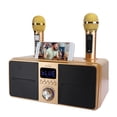 thumbnail image 3 of Filfeel Kit Audio KTV Familial de Haute Qualité Microphone Sans Fil Intégré Carte Audio en Direct Kara pour Fête Salle de Classe Réunion, 3 of 8