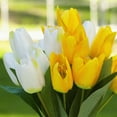 thumbnail image 3 of Enova Home 18 Heads Artificial Silk Tulips Faux Flowers Arrangement in Glass Vase with Acrylic Water for Home Office Decoration (Cream Yellow), 3 of 4
