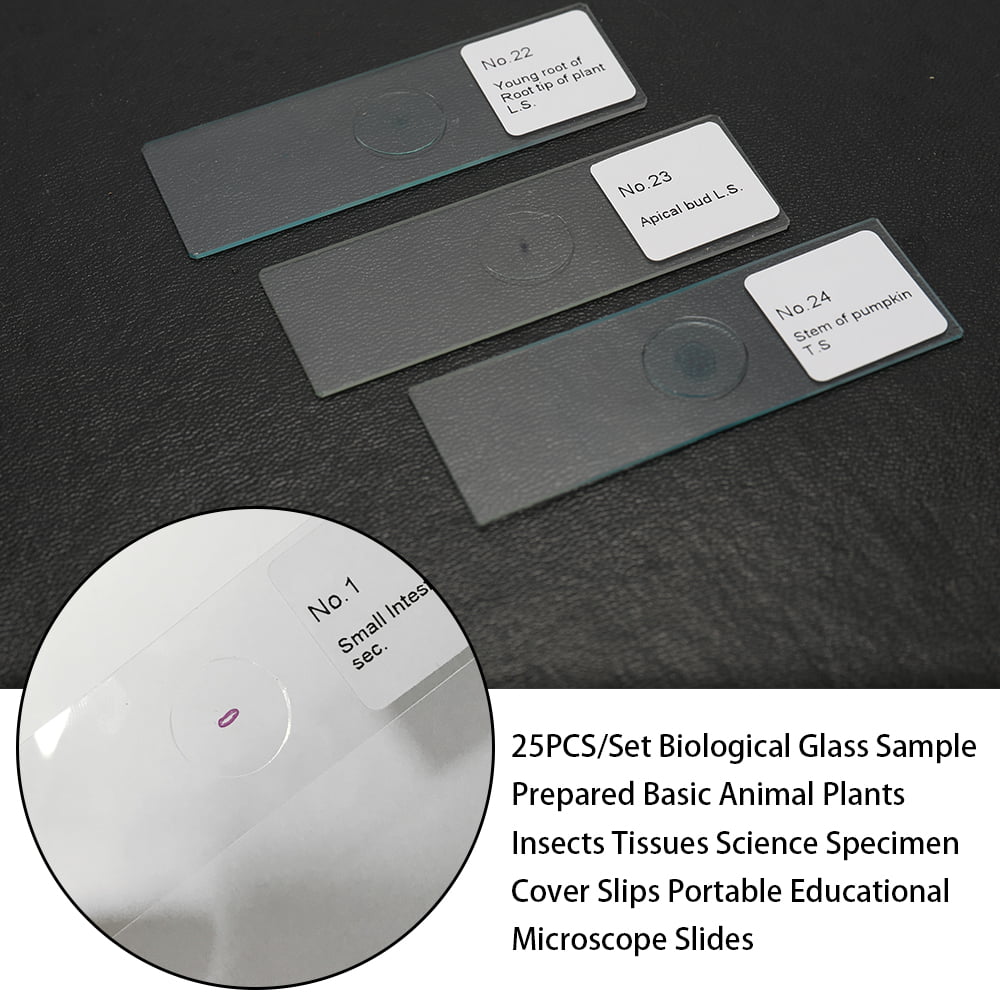 Prepared Microscope Slides Biology Glass Blank Slides Lab Specimens with Wood Box,25pcs