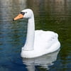 Image thumbnail_image