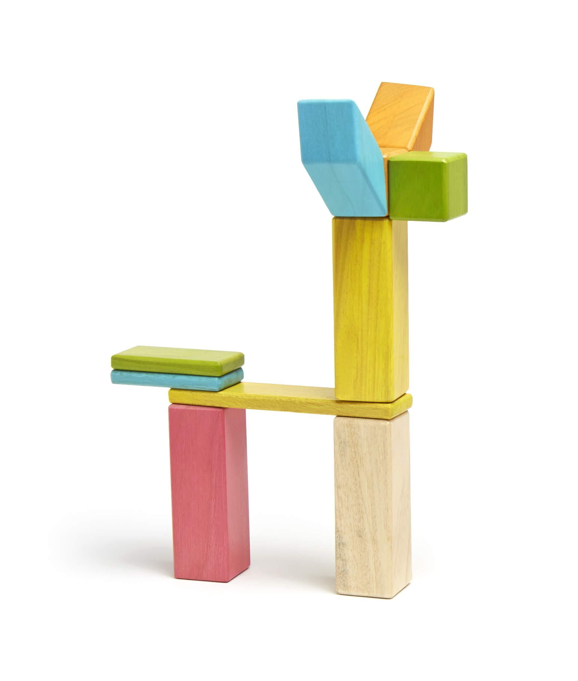 tegu blocks 24 piece