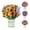 Sunflower, variant on PTSPLLMY 72-Pcs Nativity Scene Craft Kit for Kids, DIY Christmas Tree Ornaments with Stickers, Manger Cards & Ribbons Gift Set