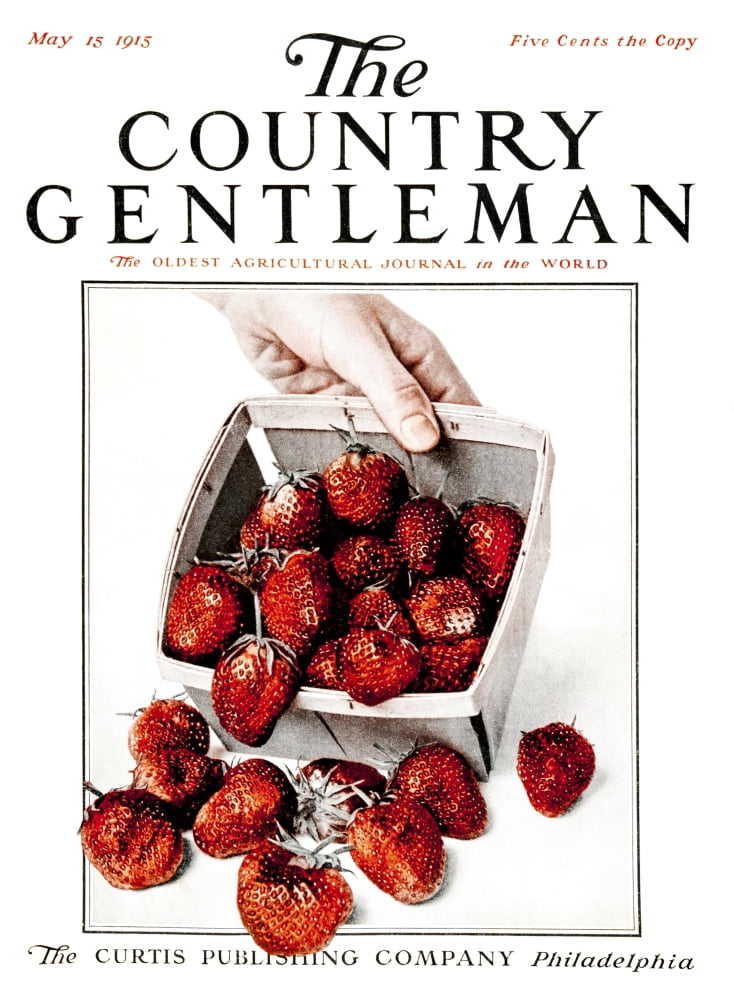 Cover Of Country Ge