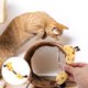 thumbnail image 3 of Cat Teaser Toy Cartoon Plush Animal Shape Kitten Actinidia Polygama Toy, 3 of 5