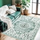 thumbnail image 1 of Sonoro Kate Alfombras de Área 3x5 para Sala de Estar Recámara, Alfombra de Piso Interior Boho Antideslizante Lavable a Máquina, Verde, 1 of 8