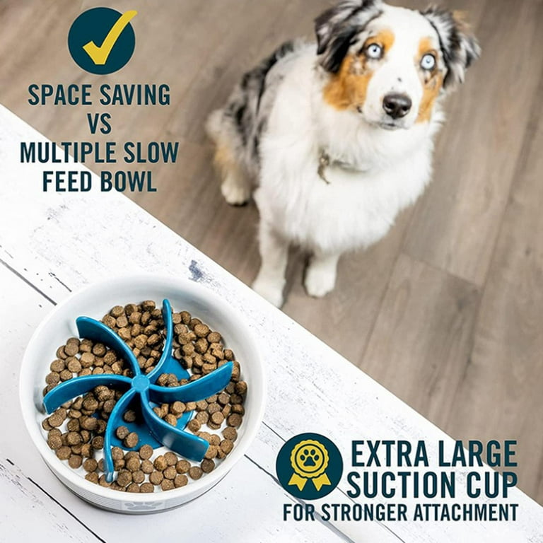 Portable Anti-Gulp Slow Feeder Dog Bowl - KanaGear