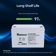 Renogy 12V Deep Cycle AGM Automotive Battery, Top Post