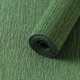 thumbnail image 1 of XmhyTop-A 2 rollos de papel crepé de 250 x 50 cm, perfecto para decoraciones de fiestas, suministros para fiestas, manualidades de bricolaje, verde A, 1 of 5