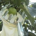 thumbnail image 3 of Visland Fruit Picker Head Basket Fruit Picking Tools, Fruits Catcher for Harvest Picking Apple Citrus Pear Peach, etc, 3 of 8