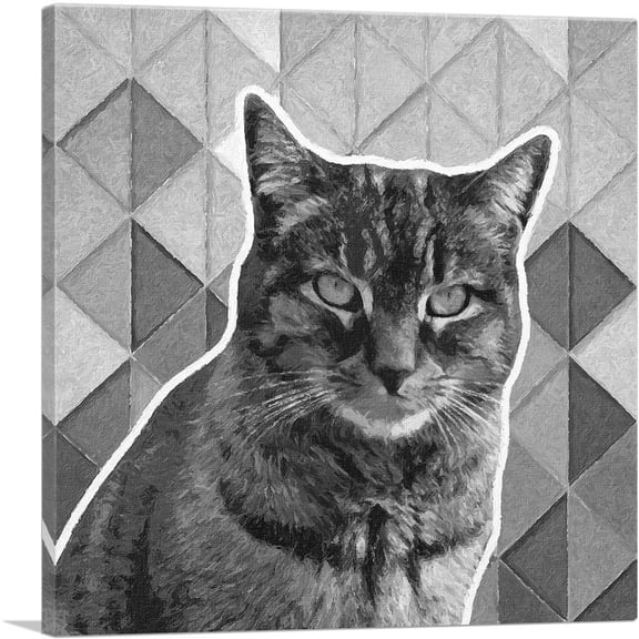 ARTCANVAS Dragon Li Cat Breed Gray Canvas Art Print - Size: 18" x 18" (0.75" Deep)