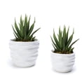 thumbnail image 3 of K-Cliffs White Ceramic  Pots, Modern Design Waving  Set of 2 Small Pot-3.9Dia*2.9H inches (Opening--3.3 inches);Large pot-5.1Dia*4.1H inches(Opening -4.4, 3 of 10