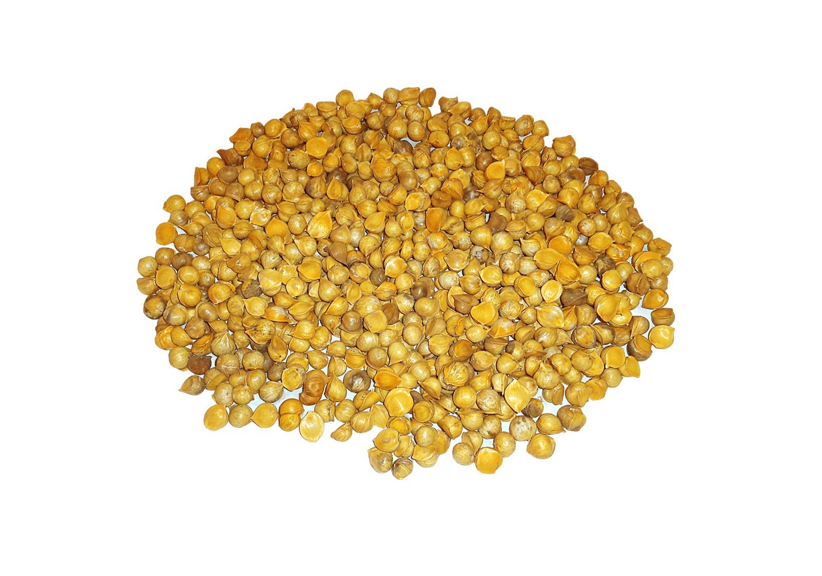 Japanese Garlic (Ajo Japones) 100% Natural!!! 250 (Count per bag) 7 oz
