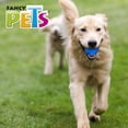 thumbnail image 2 of Juguete Pelota Prisma Gde C/Sonido Fancy Pets pelota prisma, 2 of 4