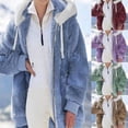 thumbnail image 2 of Chaqueta con capucha y cremallera de felpa suelta de otoño e invierno para mujer, sencilla y de moda., 2 of 6