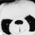 thumbnail image 4 of KAKOWELY Muñeco de panda de peluche de graduación, regalo de graduación, lindo muñeco de panda de doctor de peluche, 4 of 5