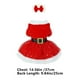 thumbnail image 3 of Disfraz navideño para mascota, de terciopelo dorado, para Papá Noel, vestido de malla roja con diadema., 3 of 7