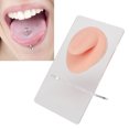thumbnail image 4 of Modelo de Lengua de Silicona Reutilizable Soporte Acrílico Amplia de Usos Exhibición Material Elástico Suave para Práctica de Punción del Anillo de la Lengua ANGGREK Otros, 4 of 8