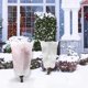 thumbnail image 3 of Winter Plant Cover - Frost Protection Tree Bag, 180cmx120cm, 3 of 5