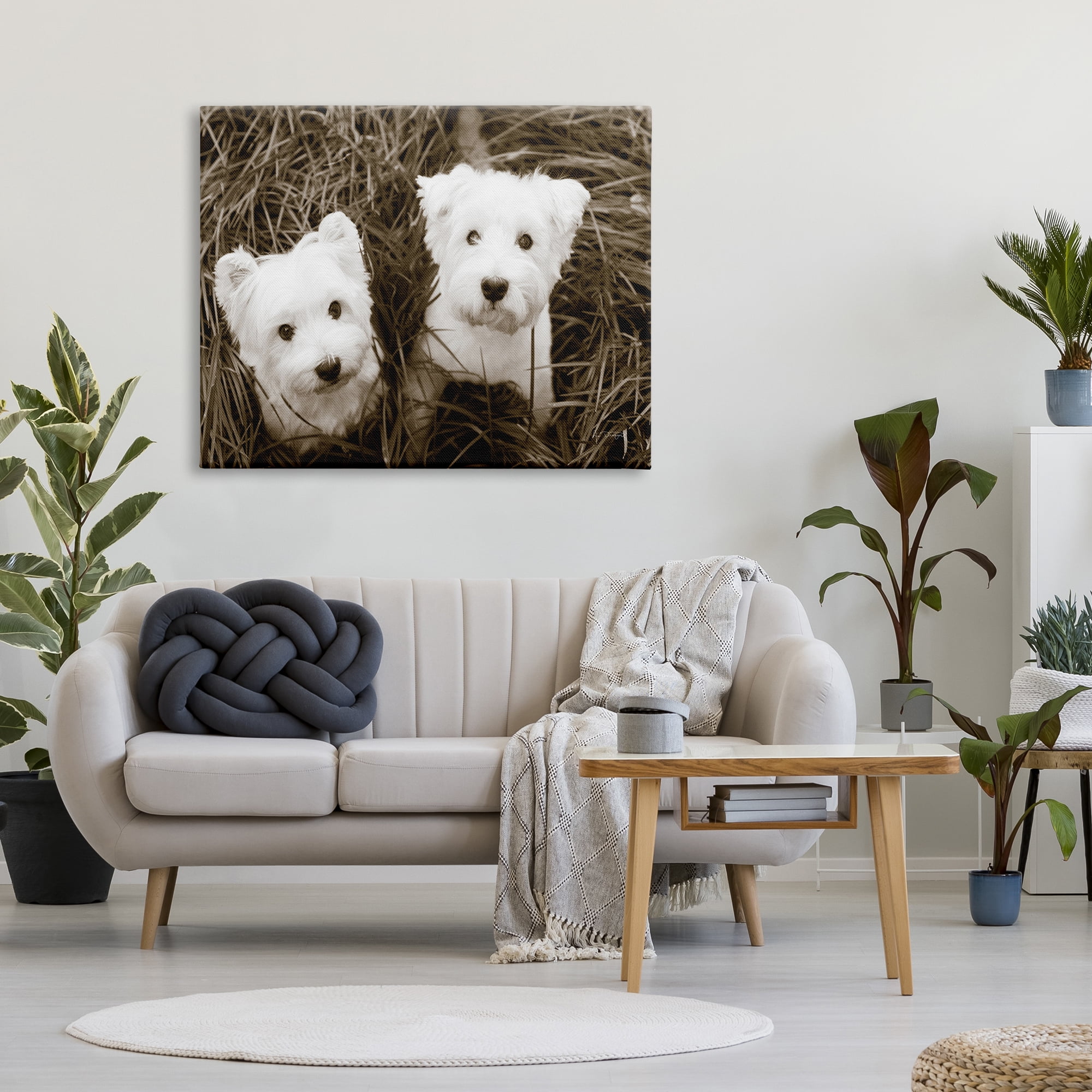 Stupell Industries White Terrier Puppies Animals & Insects Photography Gallery Wrapped Canvas Print Wall Art, 48 x 36