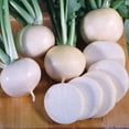 thumbnail image 3 of White Lady Turnip F1 Seeds, 3 of 5