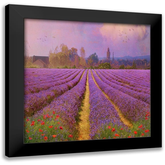 Vest, Chris 12x12 Black Modern Framed Museum Art Print Titled - Lavender Fields II