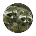 thumbnail image 1 of Cute Raccoons Curiosity Pinback Button Pin, 1 of 5
