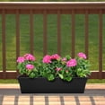 thumbnail image 5 of Expert Gardener 8" Pink Geranium Live Plants in 4" Grower Pot Full Sun, 5 of 7