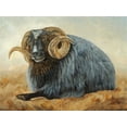 thumbnail image 2 of Winkler, Kathy 32x25 White Modern Wood Framed Museum Art Print Titled - Baa Baa Black Sheep, 2 of 4