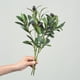 thumbnail image 4 of Decoración del hogar, decoración de la habitación, rama de olivo artificial de 4 tenedores con tallos de plantas verdes artificiales de frutas para decoración de bodas, decoración del hogar, accesorio, 4 of 6