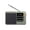 Green, variant on Portable Radio with Bluetooth, TF Card & USB Playback, Rechargeable for Home, Office & Travel