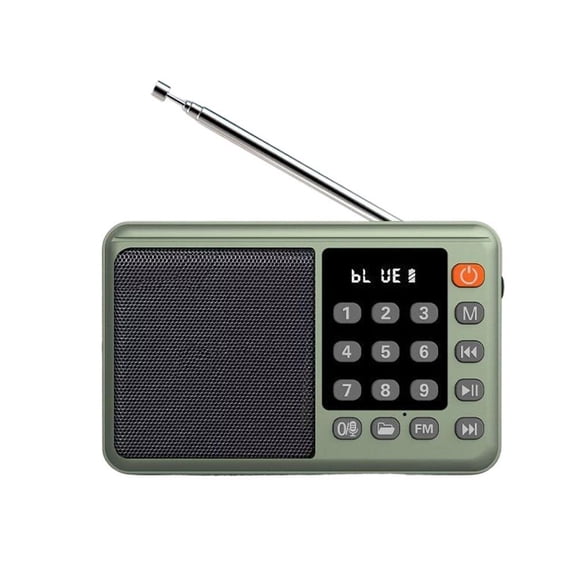Portable Radio with Bluetooth, TF Card & USB Playback, Rechargeable for Home, Office & Travel