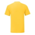 thumbnail image 2 of Fruit Of The Loom Mens Iconic 150 T-Shirt, 2 of 3
