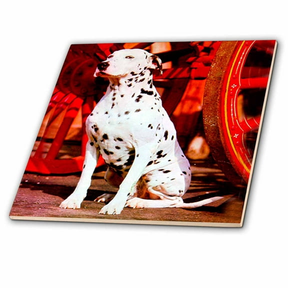 3dRose, Dalmatian, 6 Inch Ceramic Tile
