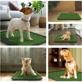Puppy Turf Potty Pad with Tray, 2 Pack Artificial Dog Grass Bathroom